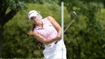 temp fix empty alt images for attachment