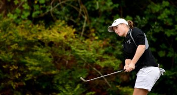 temp fix empty alt images for attachment