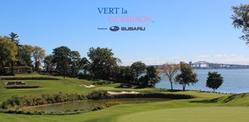 temp fix empty alt images for attachment