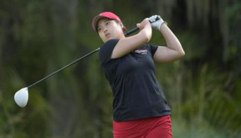 temp fix empty alt images for attachment