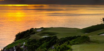 temp fix empty alt images for attachment