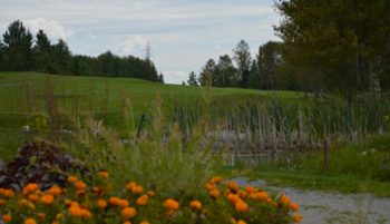 temp fix empty alt images for attachment