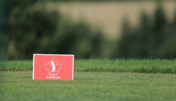 temp fix empty alt images for attachment