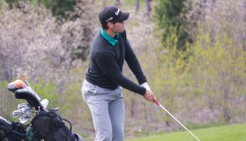 temp fix empty alt images for attachment