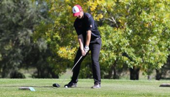 temp fix empty alt images for attachment