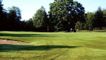 temp fix empty alt images for attachment