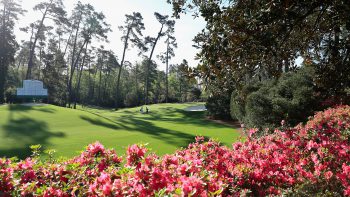 temp fix empty alt images for attachment