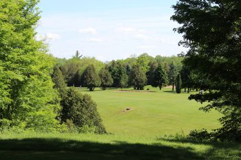 temp fix empty alt images for attachment