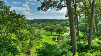 temp fix empty alt images for attachment