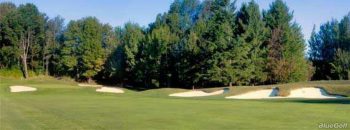 temp fix empty alt images for attachment