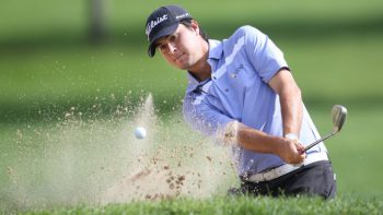 temp fix empty alt images for attachment