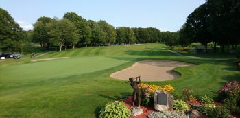 temp fix empty alt images for attachment