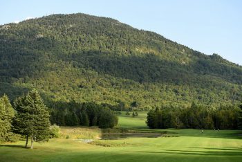 temp fix empty alt images for attachment