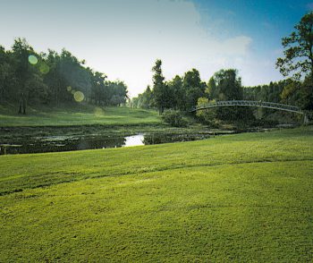 temp fix empty alt images for attachment