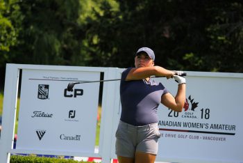 temp fix empty alt images for attachment