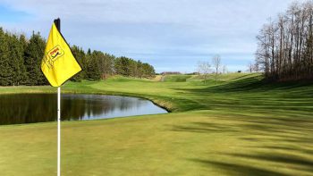 temp fix empty alt images for attachment