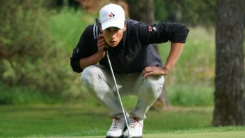 temp fix empty alt images for attachment