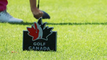 temp fix empty alt images for attachment