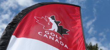 temp fix empty alt images for attachment