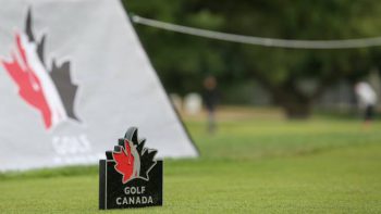 temp fix empty alt images for attachment