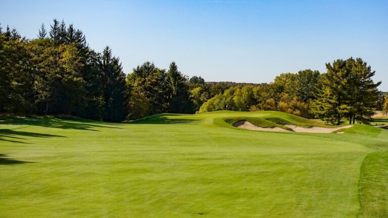 temp fix empty alt images for attachment