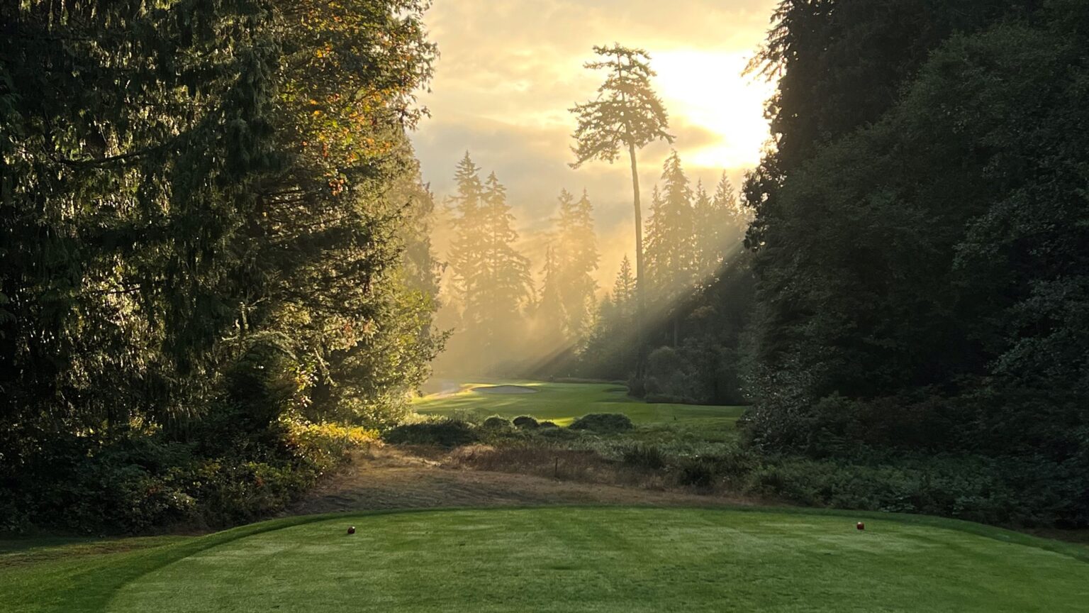 NextGen Championship Season kicks off at Sunshine Coast Golf and