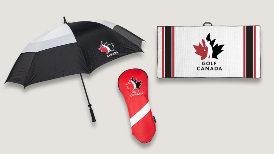 temp alt for theme membership