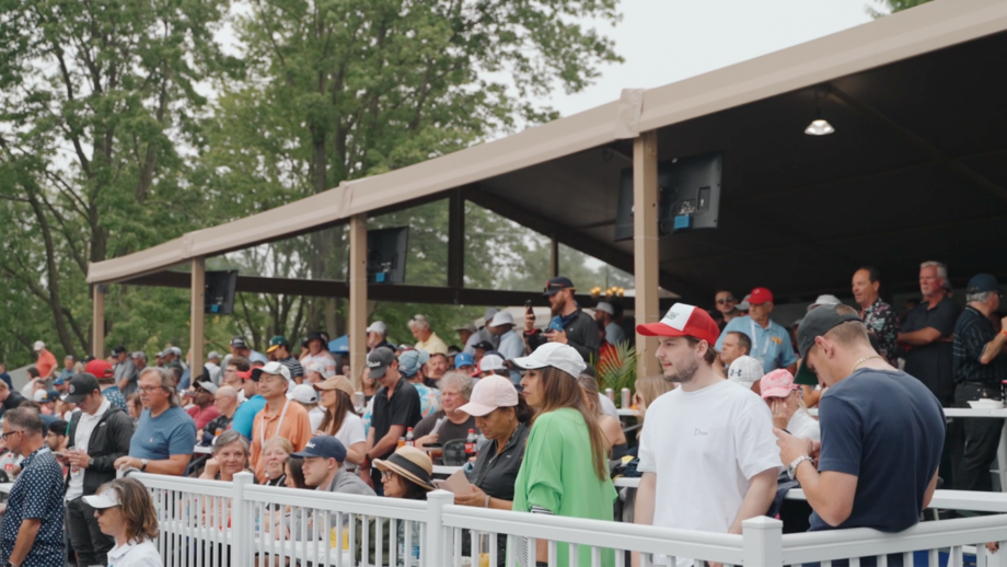 temp alt for theme membership