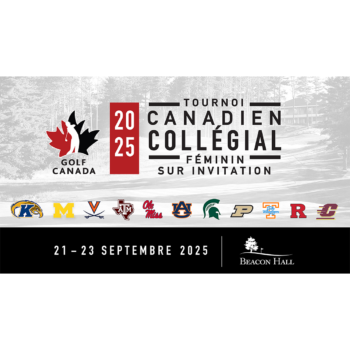 temp alt for theme iandt