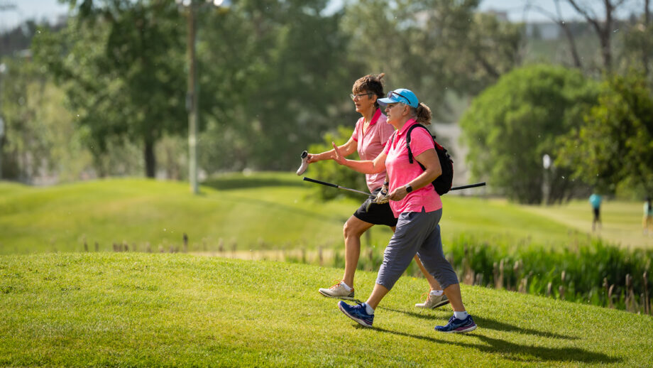 temp alt for theme membership