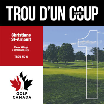 temp alt for theme iandt