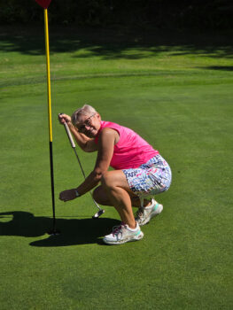 temp alt for theme iandt