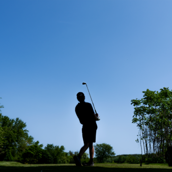 temp alt for theme iandt