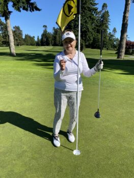 temp alt for theme iandt