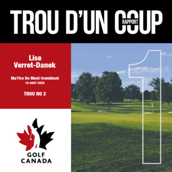 temp alt for theme iandt