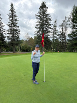 temp alt for theme iandt