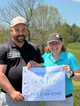 temp alt for theme iandt