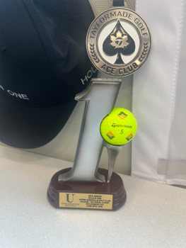 temp alt for theme iandt