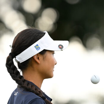 temp alt for theme iandt