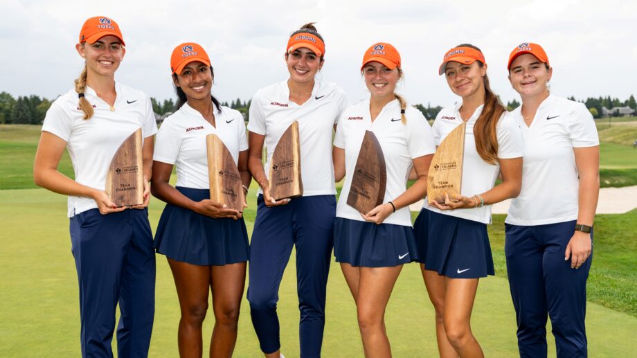 temp alt from theme related posts