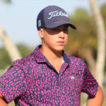 temp alt for theme team canada