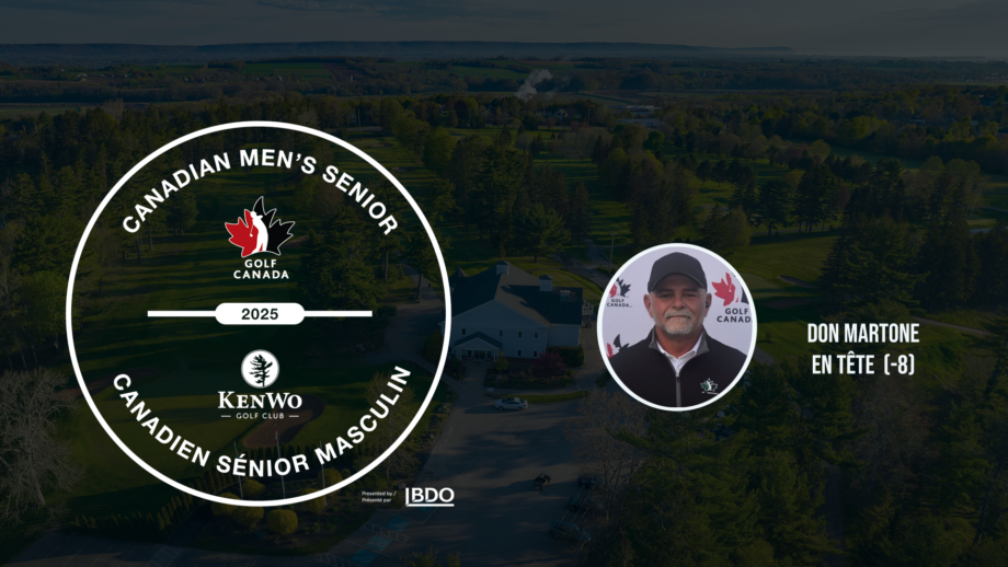 temp alt from theme related posts