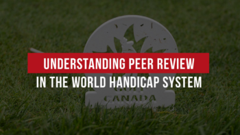 Understanding Peer Review in the WHS