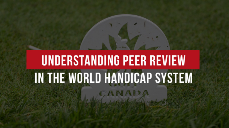 Understanding Peer Review in the WHS