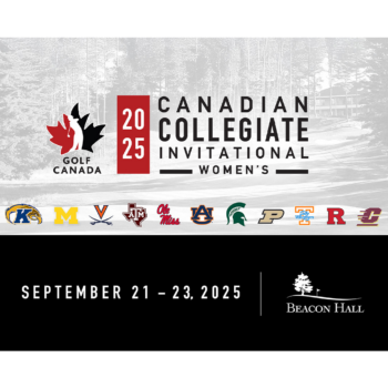 temp alt for theme iandt