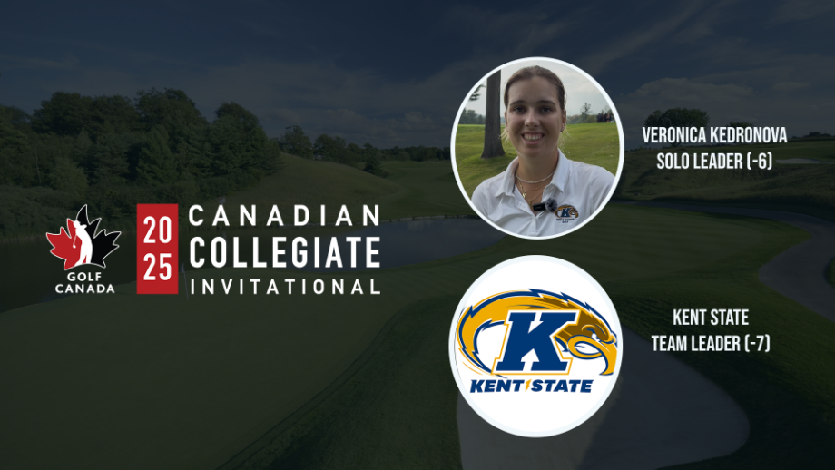 temp alt from theme related posts