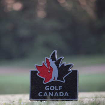 temp alt for theme iandt