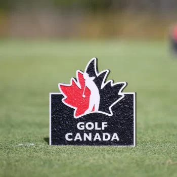 temp alt for theme iandt