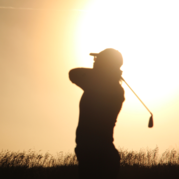 temp alt for theme iandt