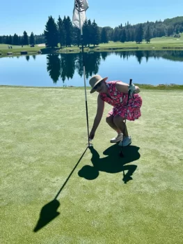 temp alt for theme iandt